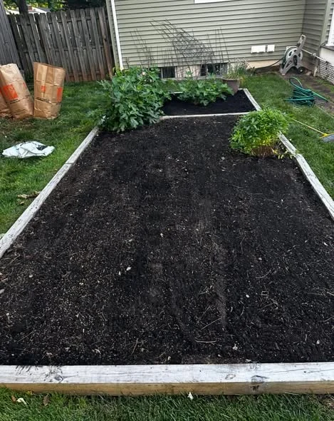 The same garden bed after cleanup, with cleared soil